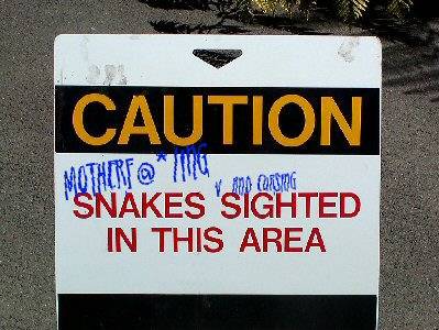 Snakes and Cursing Ahead!