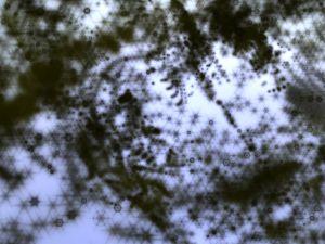 1134916_abstract_dark_star_cloud_