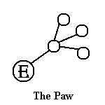 The Paw