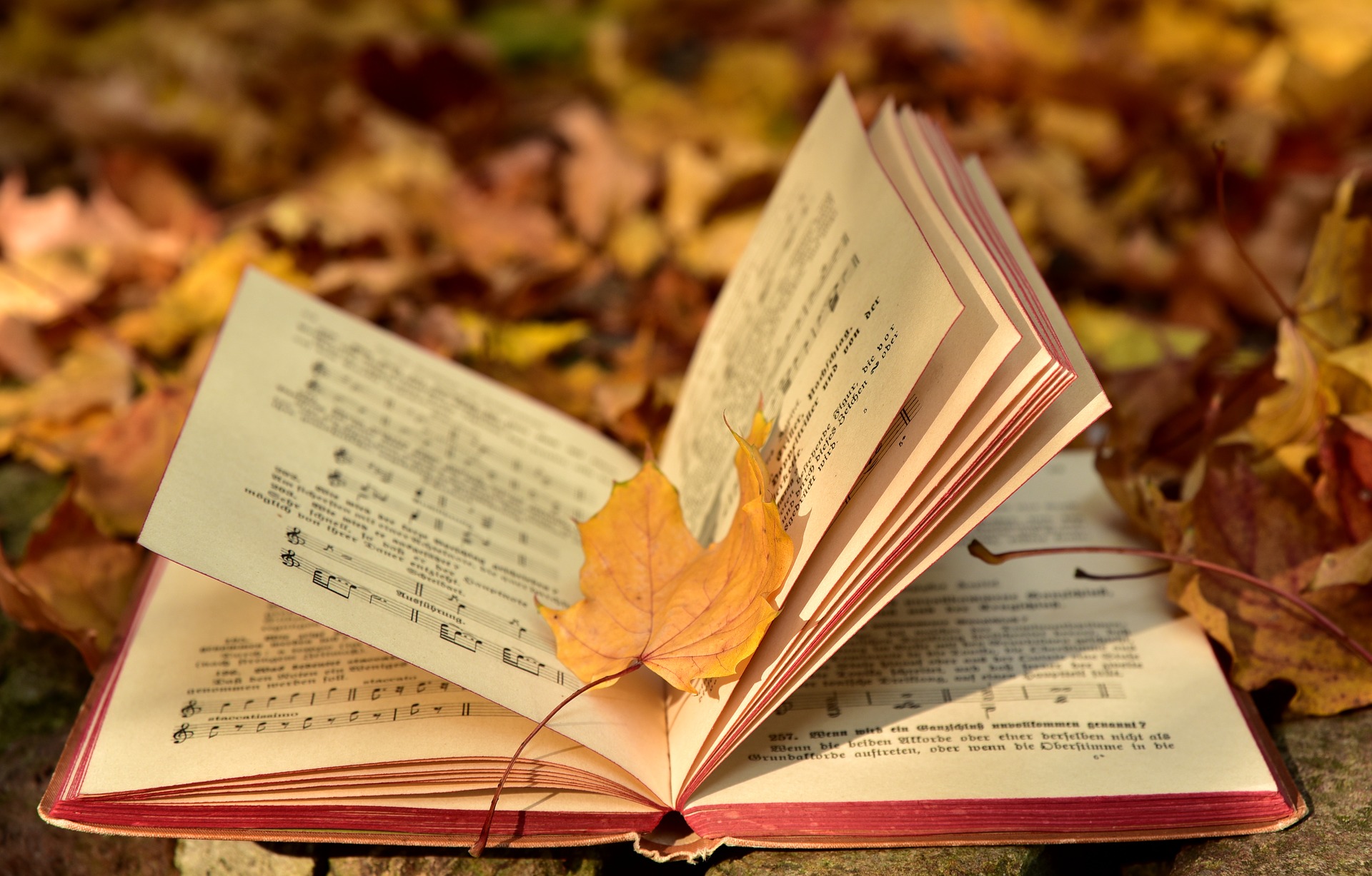 Book with Leaf