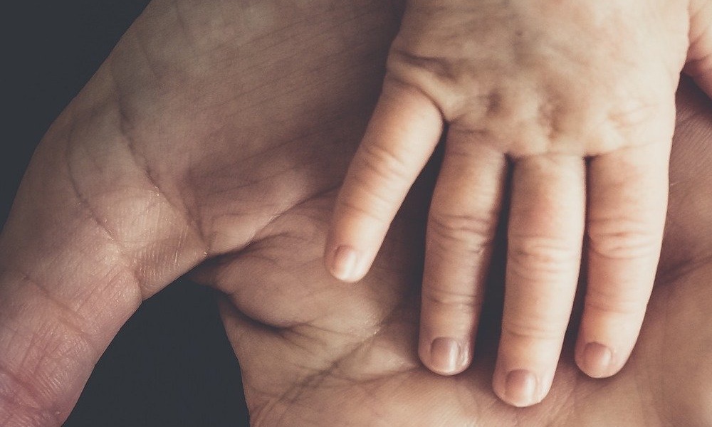 Child hand in adult hand