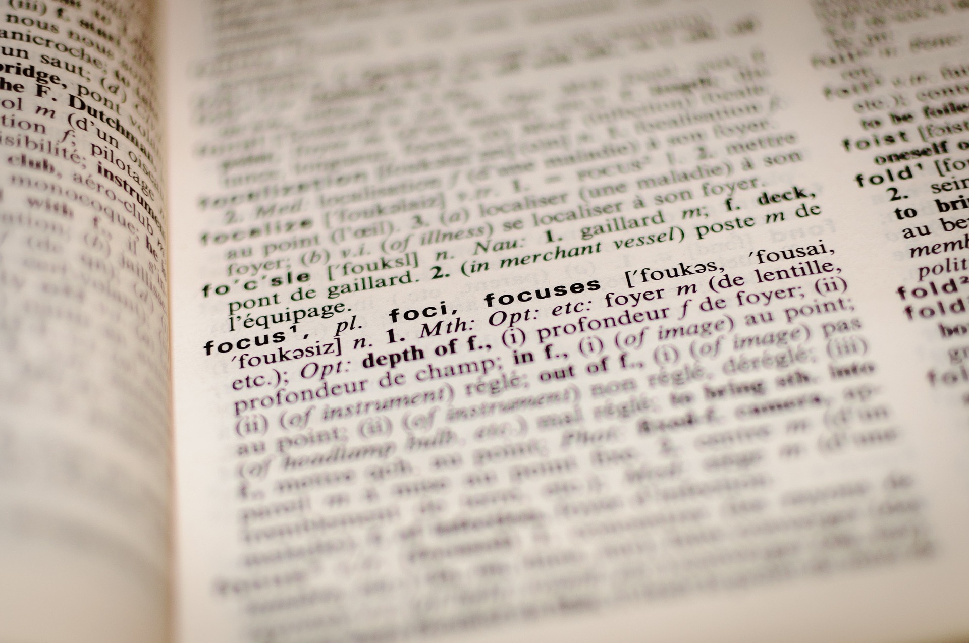 Dictionary Page with only the text of the definition for focus is in focus.